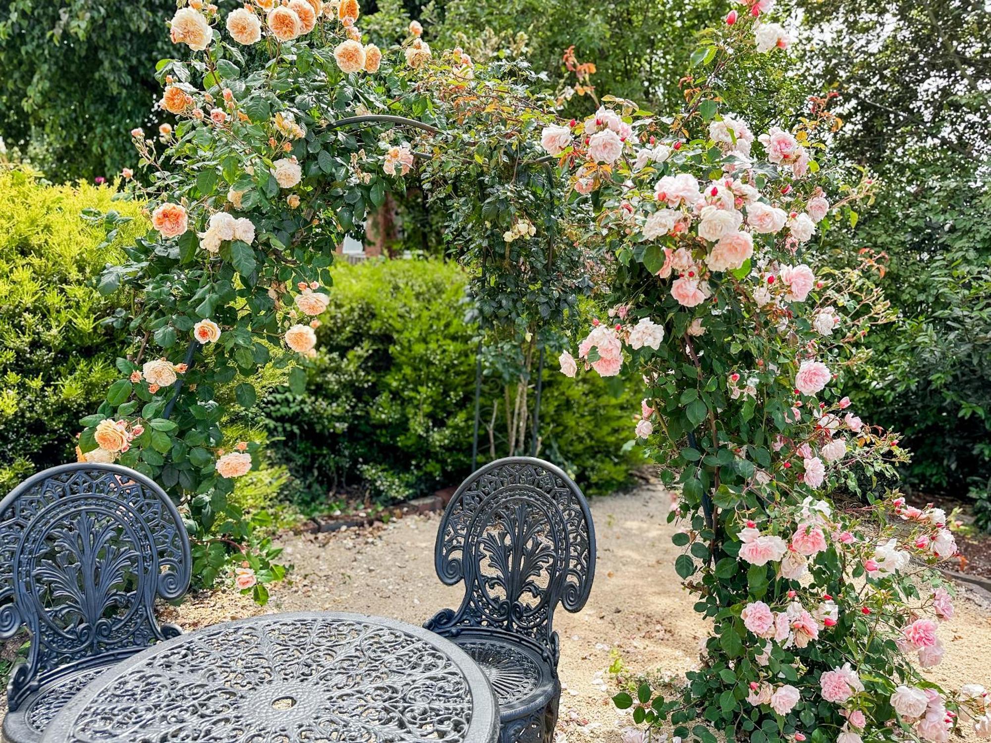 The Dragonfly Inn Launceston Luaran gambar